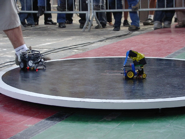 Duel Sengit di Arena: Sumo Robot yang Penuh Strategi dan Aksi!
